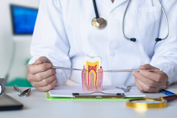 Best Holiday Emergency Dentist in Pendleton, IN